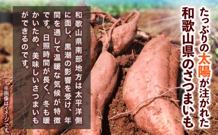 和歌山県 の さつまいも 訳あり ご家庭用 5kg 在来種《12月中旬‐4月下旬頃出荷》和歌山県 日高川町 みはらファーム さつま芋 薩摩芋｜さつまいもさつまいもさつまいもさつまいもさつまいもさつまいもさつまいもさつまいもさつまいもさつまいもさつまいもさつまいもさつまいもさつまいもさつまいもさつまいもさつまいもさつまいもさつまいもさつまいもさつまいもさつまいもさつまいもさつまいもさつまいもさつまいもさつまいも