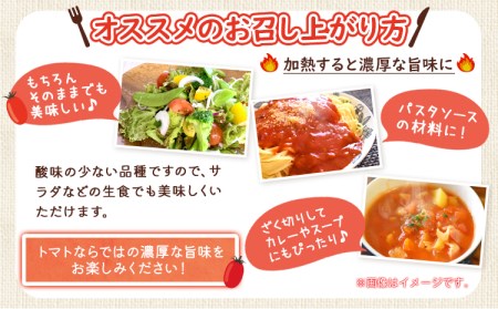  【先行予約】和歌山産 ミニトマト アイコトマト 約2kg SまたはMサイズ サイズおまかせ 厳選館 【配送不可地域あり】 《2026年1月上旬-2月中旬頃出荷》 和歌山県 日高川町 トマト とまと アイコトマト 送料無料