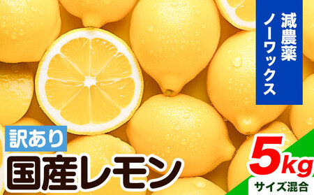 国産レモン 混合 10キロ 訳あり
