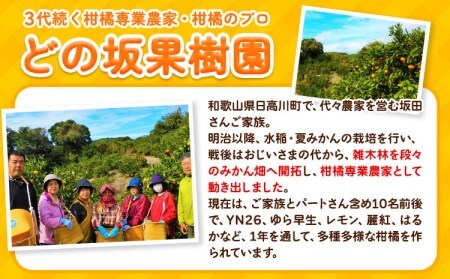 訳あり 早生 みかん 5kg ( サイズ 不選別 ) どの坂果樹園《12月上旬-1月末頃出荷》｜ 和歌山県 日高川町 みかん ご家庭用 訳ありみかん わけありみかんみかんみかんみかんみかんみかんみかんみかんみかんみかんみかんみかんみかんみかんみかんみかんみかんみかんみかんみかんみかんみかんみかんみかんみかんみかんみかんみかんみかんみかんみかんみかんみかんみかんみかんみかんみかんみかんみかんみかんみかんみかんみかんみかんみかんみかんみかんみかんみかんみかんみかんみかんみかんみかんみかんみかんみかんみかんみかんみかんみかんみかんみかんみかんみかんみかんみかんみかんみかんみかんみかんみかんみかんみかんみかんみかんみかんみかんみかんみかんみかんみかんみかんみかんみかんみかんみかんみかんみかんみかんみかんみかんみかんみかんみかんみかんみかんみかんみかんみかんみかんみかんみかんみかんみかんみかんみかんみかんみかんみかんみかんみかんみかんみかんみかんみかんみかんみかんみかんみかんみかんみかんみかんみかんみかんみかんみかんみかんみかんみかんみかんみかんみかんみかんみかんみかんみかんみかんみかんみかんみかんみかんみかんみかんみかんみかんみかんみかんみかんみかんみかんみかんみかんみかんみかんみかんみかんみかんみかんみかんみかんみかんみかんみかんみかんみかんみかんみかんみかんみかんみかんみかんみかんみかんみかんみかんみかんみかんみかんみかんみかんみかんみかんみかんみかんみかんみかんみかんみかんみかんみかんみかんみかんみかんみかんみかんみかんみかんみかんみかんみかんみかんみかんみかんみかんみかんみかんみかんみかんみかんみかんみかんみかんみかんみかんみかんみかんみかんみかんみかんみかんみかんみかんみかんみかんみかんみかんみかんみかんみかんみかんみかんみかんみかんみかんみかんみかんみかんみかんみかんみかんみかんみかんみかんみかんみかんみかんみかんみかんみかんみかんみかんみかんみかんみかんみかんみかんみかんみかんみかんみかんみかんみかんみかんみかんみかんみかんみかんみかんみかんみかんみかんみかんみかんみかんみかんみかんみかんみかんみかんみかんみかんみかんみかんみかんみかんみかんみかんみかんみかんみかんみかんみかんみかんみかんみかんみかんみかんみかん