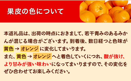 訳あり 早生 みかん 5kg ( サイズ 不選別 ) どの坂果樹園《12月上旬-1月末頃出荷》 和歌山県 日高川町 みかん ご家庭用 ｜訳あり みかん わけあり みかん 訳ありみかん みかん 2024年出荷 みかん 2025年出荷 みかん 和歌山 みかん ご家庭用 みかん わけあり みかん みかん5kg 早生 みかん 訳あり早生 みかん 日高川 みかん 