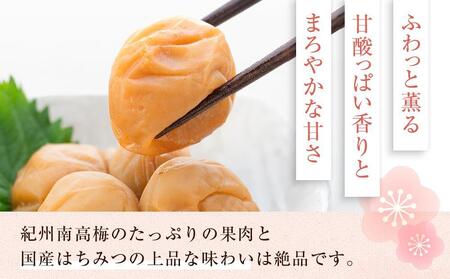 まごころ梅 はちみつ味 5Lサイズ 380g 個包装