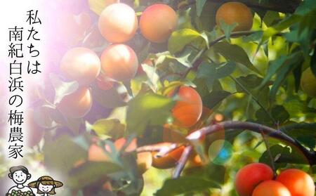 無添加 白干梅 大粒3L～4Lサイズ 400ｇ紀州南高梅【梅農家厳選 手づくり梅干】