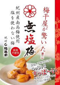 紀州南高梅 食塩不使用 無塩梅 180g 梅干し 梅干 バニリン 減塩 無添加 塩分