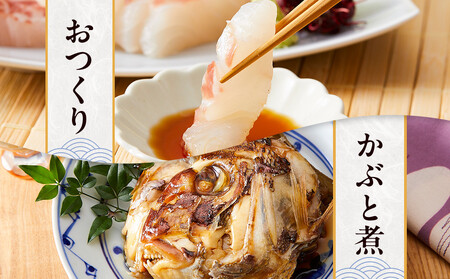 白浜天鯛完食 【先行予約 2026年3月初旬~5月中旬に順次配送】