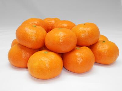 紀州完熟みかん 5kg(M又はL)