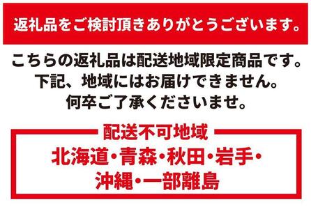 ヘラクレスオオカブト メス 1匹 サイズフリー ※配送不可地域あり