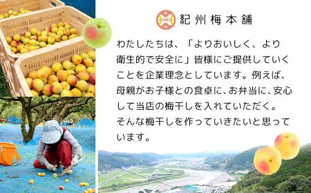 紀州南高梅 塩分約2.7% 特大粒 訳ありつぶれ梅 はちみつ梅 400g×3個 1.2kg 減塩梅干し 紀州梅本舗【特大粒 つぶれ梅 南高梅 ワケあり 梅干し お漬物 和歌山県 白浜町】