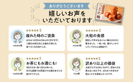 梅干し 塩分約2.7% つぶれ梅干し はちみつ 400g×6個 2.4kg 大粒 訳あり
