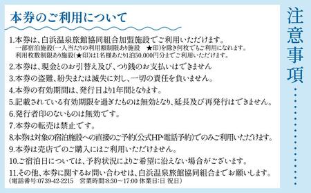 白浜温泉旅館協同組合加盟施設 共通宿泊割引券 9000円相当