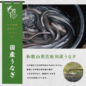 〈うなぎ専門店やまのうち〉江戸焼き うなぎ 白焼き 2尾