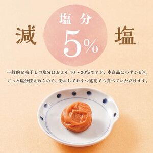 【定期便4回 2ヶ月に1回】紀州南高梅 訳あり はちみつ梅 塩分5% 1.2kg(300g×4パック)