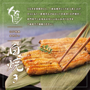 【定期便3回 毎月発送】〈うなぎ専門店やまのうち〉江戸焼き うなぎ 白焼き 2尾