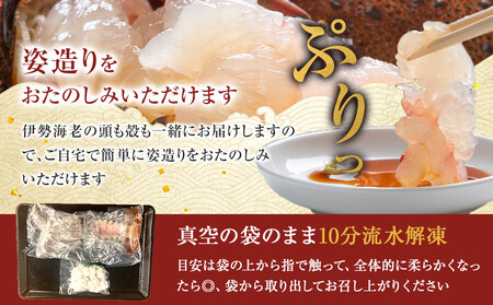 【年末配送】CAS凍結 伊勢海老 姿造り 500g ~ 600g 約2人前