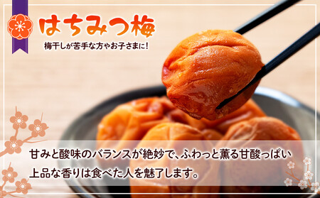 訳あり つぶれ 梅干し 500g×10パック 合計5kg はちみつ 塩分 約5％［TR2w］