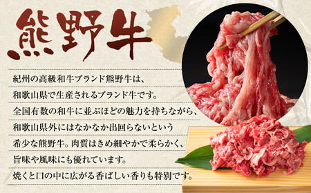 和歌山 熊野牛 切り落とし 合計1kg（500g × 2パック）［部位おまかせ］［MK3w］