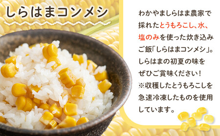 しらはまコンメシ 2袋 セット わかやましらはま農家 特製 炊き込みご飯の素