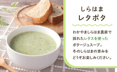 しらはまレタポタ 6袋 セット わかやましらはま農家 特製 ポタージュスープ