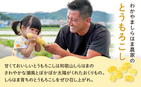 ［先行予約］しらはま農家 とうもろこし2Lサイズ10本 ［2026年6月発送予定］