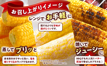 朝採 新鮮 白浜町産 ゴールドラッシュ とうもろこし 2Lサイズ 10～12本 はたごや農園