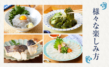 CAS凍結 南紀の誉れ 旬 の 海産物 6品 セット お楽しみ 簡単調理 干物 お造り 塩焼き など