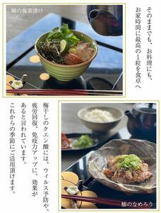 紀州特選南高梅 華結24粒(まろやか)