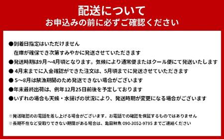 活 伊勢海老 2尾～3尾 セット 合計 約1kg 産地直送 番長おススメ