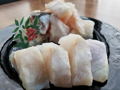 幻の魚 本クエ鍋用 紀州和歌山 500g