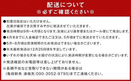 冷凍 伊勢海老 お鍋用 約 700g ～ 800g 産地直送