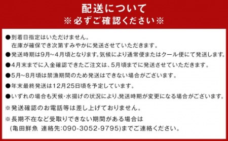 冷凍 伊勢海老 お鍋用 約1.2kg 産地直送 | 和歌山県白浜町 | ふるさと