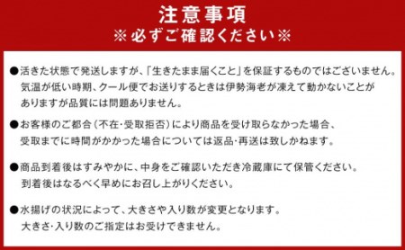 冷凍 伊勢海老 お鍋用 約1.2kg 産地直送