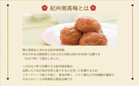 紀州五代梅 家庭用 900g 2個セット(みなべ町)