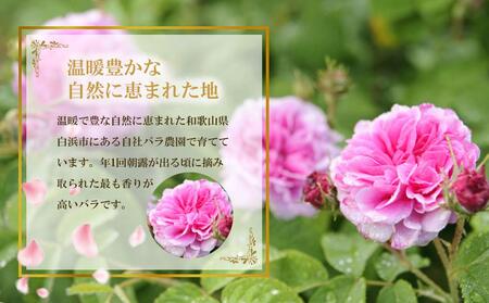 薔薇梅酒　720ml 1本（みなべ町）