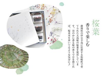 紀州南高梅 うめララカ 桜葉と桜花を添えて