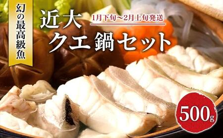 近大くえ鍋セット ( 500g ）こだわりだしぽん酢付き【2025年1月下旬～2月上旬発送】