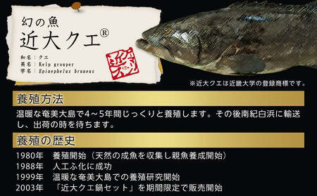 近大クエ鍋セット ( 500g ）こだわりだしぽん酢付き【2026年2月上旬～中旬発送】