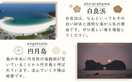 【白浜町、那智勝浦町、上富田町】JTBふるさと旅行券（450,000円分）有効期間5年 | 予約 宿泊 観光 体験 温泉 ホテル 旅館 チケット 子供 子連れ カップル 家族 店頭 電話 白浜