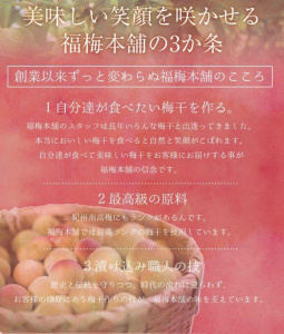 ご家庭用 はちみつ梅干し まろやか梅 中粒 250g 塩分10％ 最高級紀州南高梅 和歌山県産 福梅本舗