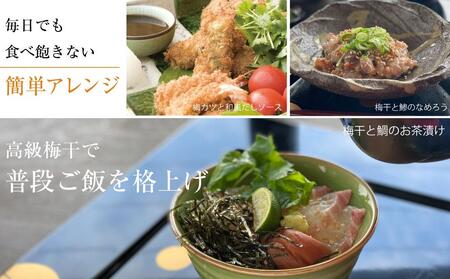 かつお梅干 紀州南高梅 産地直送 訳あり 皮切れ450g