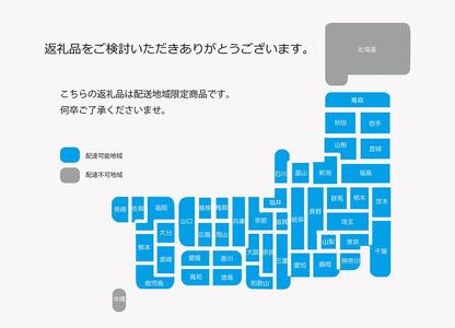 ヘラクレスオオカブト幼虫ペア ※育て方の説明書付き 先行予約 2024年6月以降発送