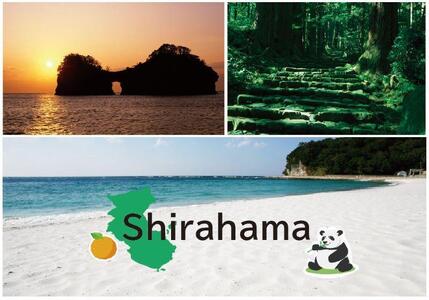 紀州南高梅 口熊野(しそ)1kg 塩分約12%