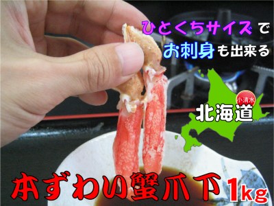 ひとくちサイズ お刺身も出来る！生冷凍ずわい蟹爪下 約1kg【03035a】
