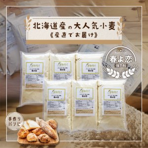北海道小清水町産 「春よ恋」強力小麦粉6kg（1kg×6袋）【01011】