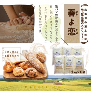 北海道小清水町産 「春よ恋」強力小麦粉6kg(1kg×6袋)【01011】