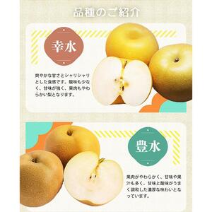 梨 約2kg 化粧箱入 紀州和歌山 かつらぎ産［2026年8月中旬以降発送予定］［UT103］