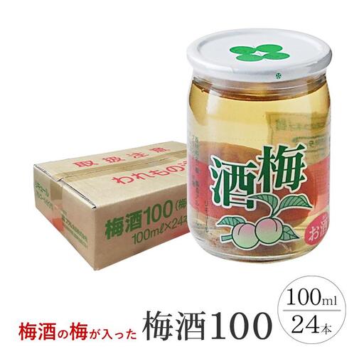 ワンカップ 梅酒100ml（梅酒90ml、梅実10ml） ×24本