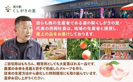 桃 極上秀品 食べきりやすい３個入 ［先行予約］［2026年6月下旬頃より順次発送］こだわり農家厳選！［KG1］