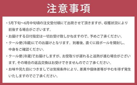 【2025年5月下旬以降発送】紀州南高梅(青梅) 5kg〈Lサイズ〉