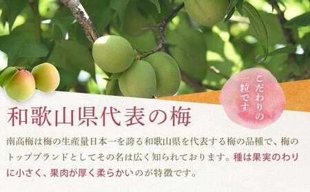 【2026年5月下旬以降発送】紀州南高梅(青梅) 2kg〈大粒/3Lサイズ〉