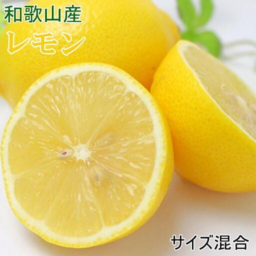 ［産直］和歌山産レモン約5kg（サイズ混合）★2026年3月下旬頃より順次発送［TM129］